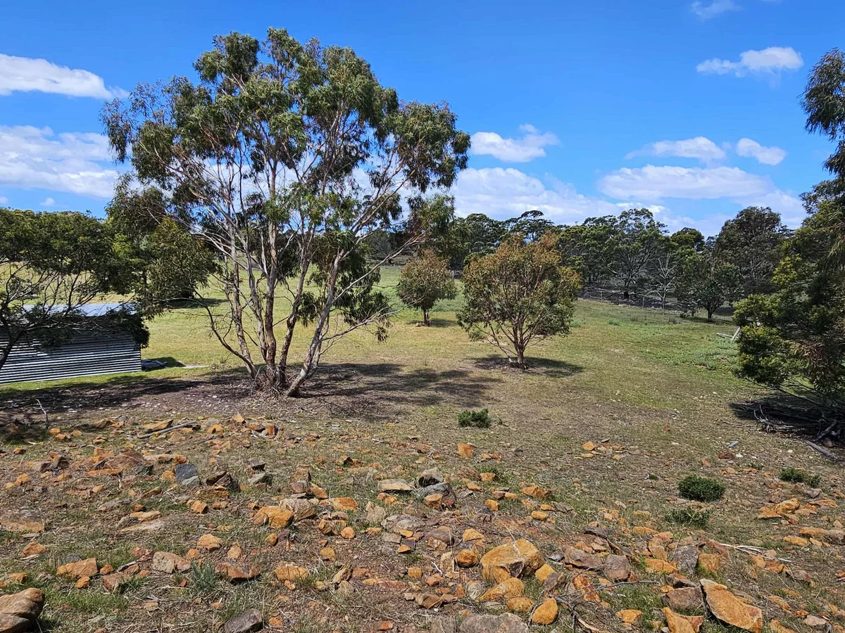 Image 12