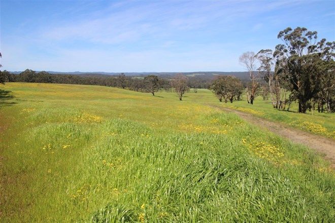 Picture of "Saddler" Lavers Hill - Cobden Road, KENNEDYS CREEK VIC 3239