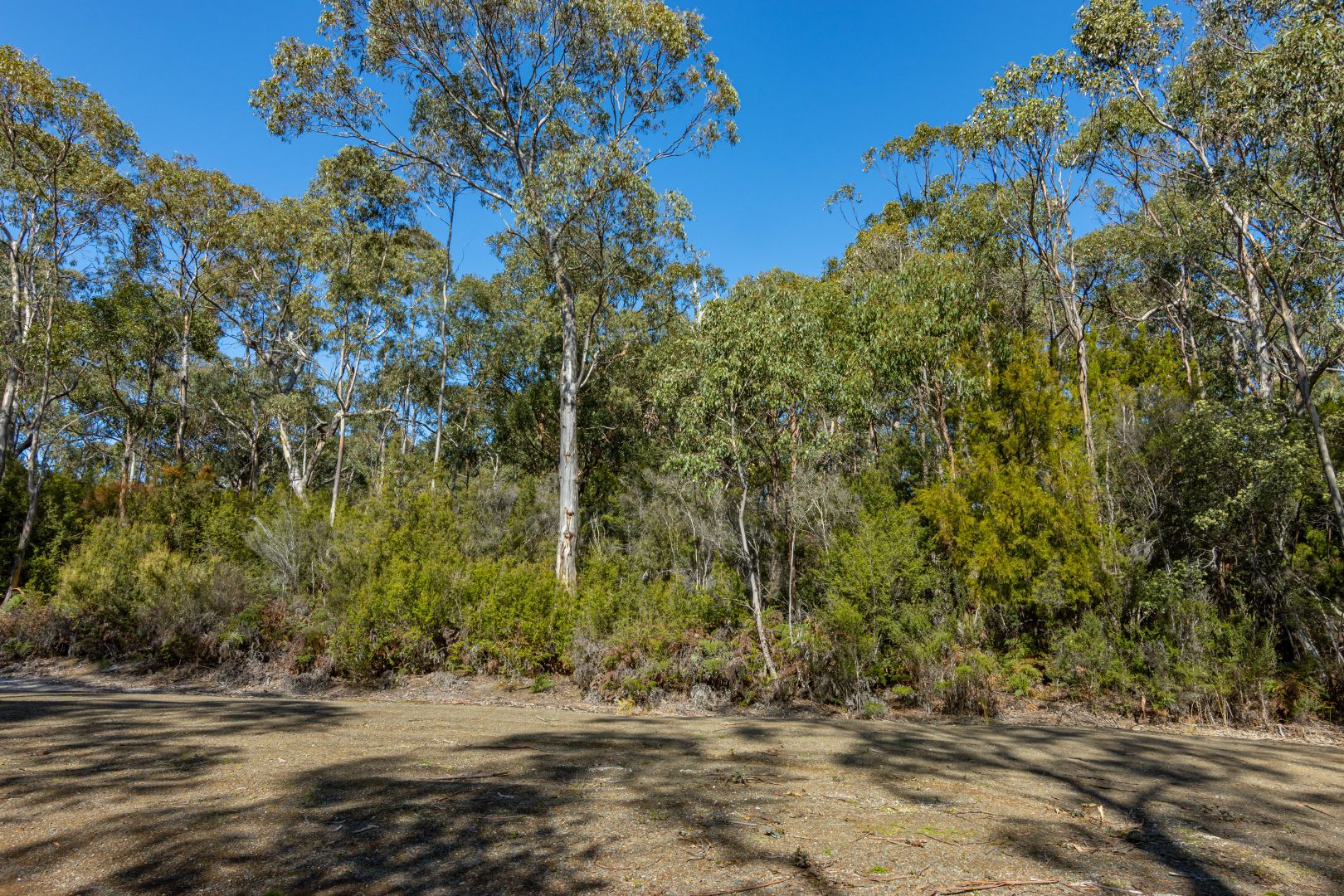 Lot 17 Flakemores Road, Eggs And Bacon Bay TAS 7112, Image 2