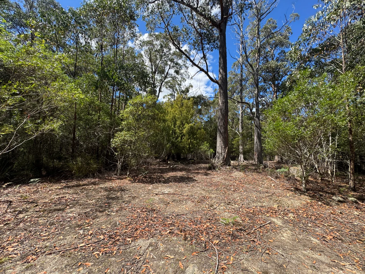 Image 10