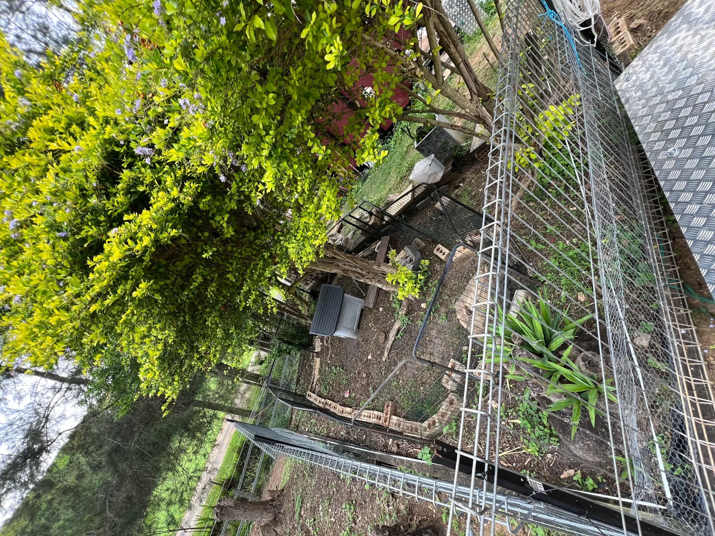 Additional image 20 of 9 Alpine Street, Draper QLD 4520