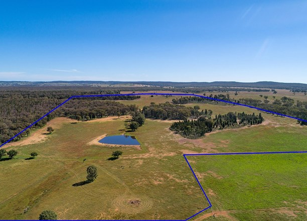 332 Patrick Road, Dunedoo NSW 2844