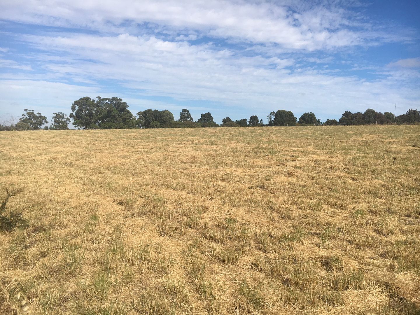 LOT 14 ROTARY AVENUE, Naracoorte SA 5271, Image 2