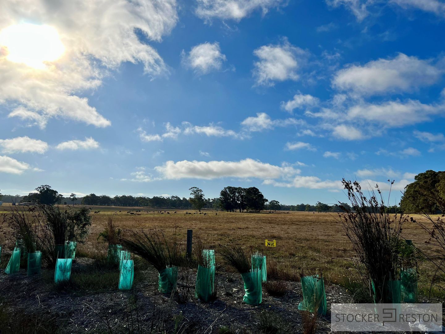 31 Stewart Smith Loop, Cowaramup WA 6284, Image 1