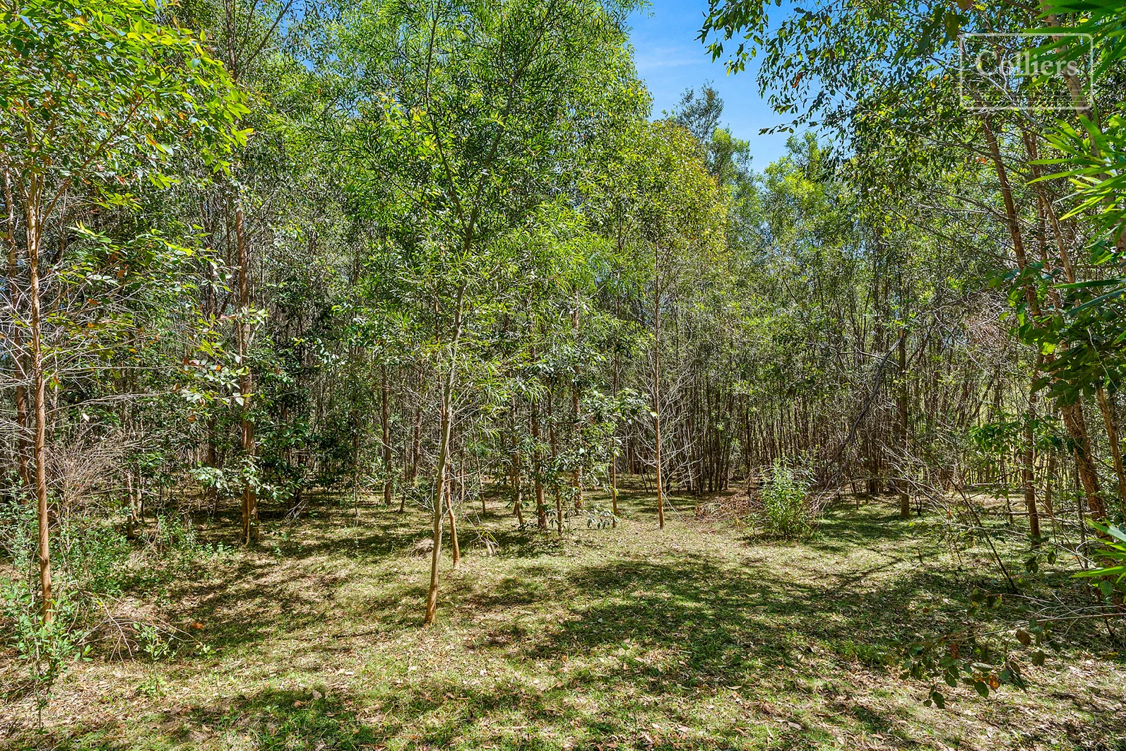 Image 10