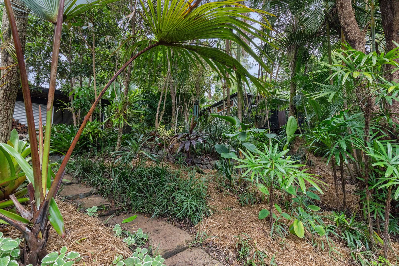 9 Fern Gully Place, Mooloolah Valley QLD 4553 Domain