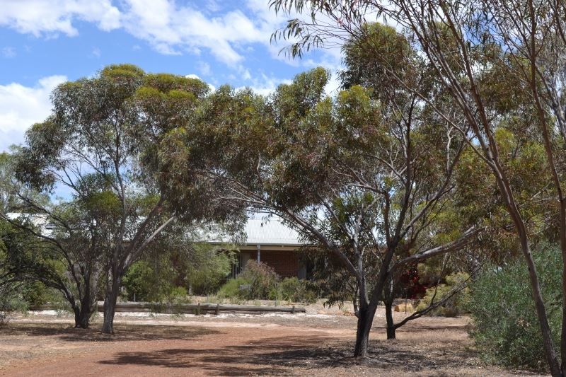 10 Margaret Street, Cunderdin WA 6407, Image 0