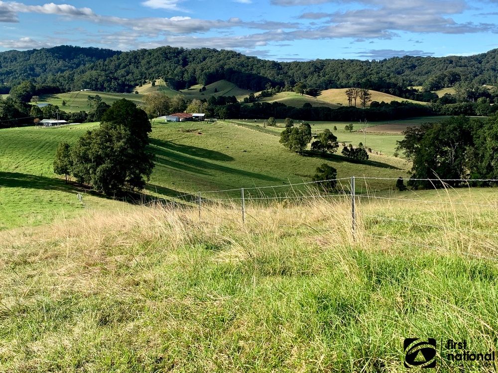 Lot 1/219 South Island Loop Road, Upper Orara NSW 2450, Image 1