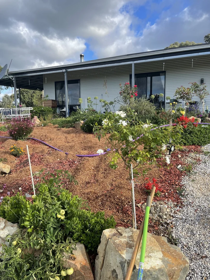 Image 20