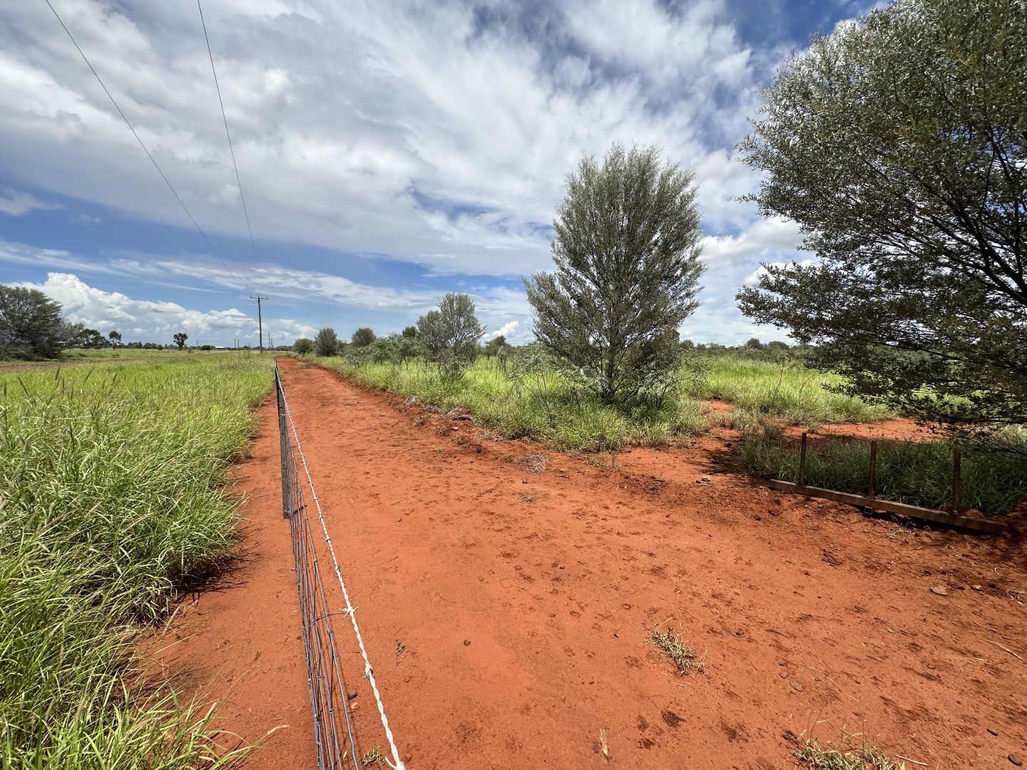 183 Albert Park, Charleville QLD 4470 House for Sale 188,000