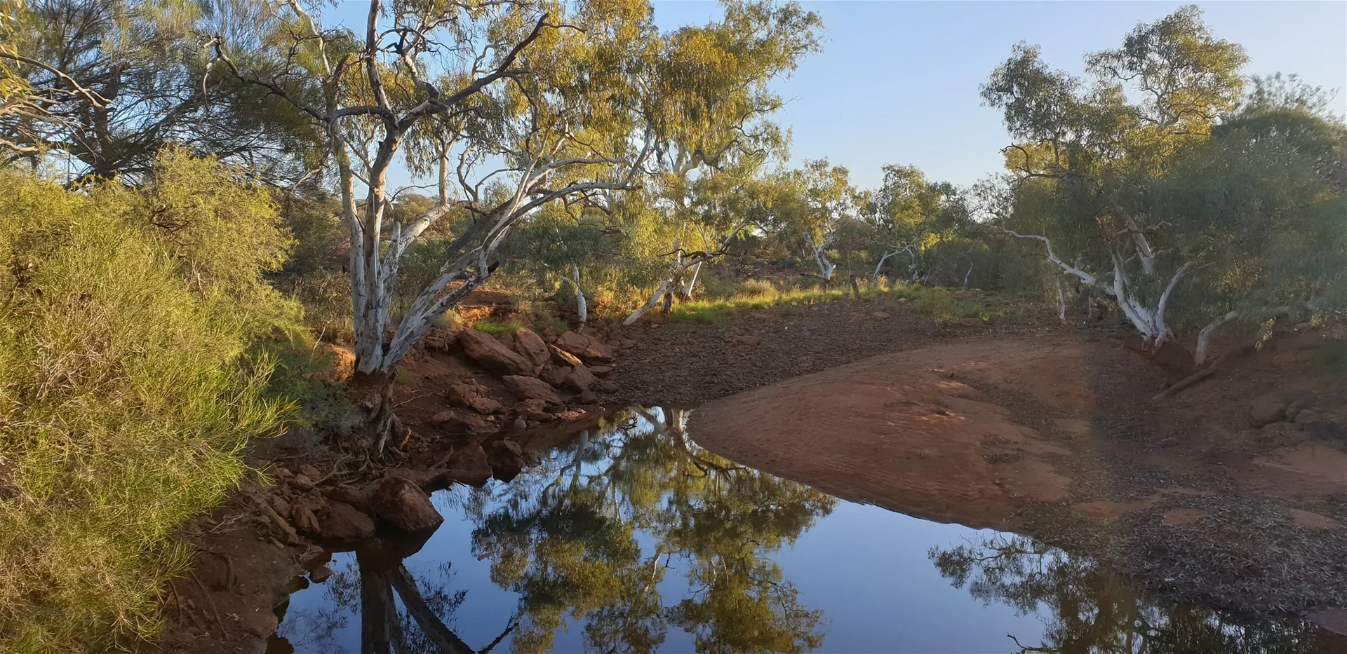Image 12