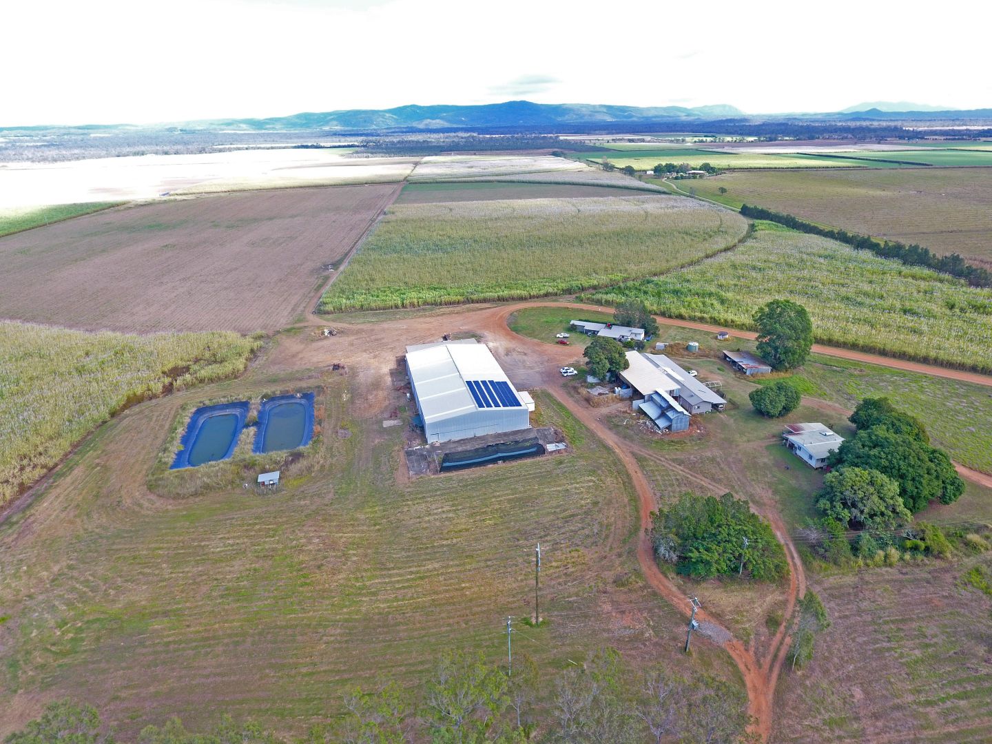 341 Mulligan Highway, Mareeba QLD 4880 House for Sale Domain