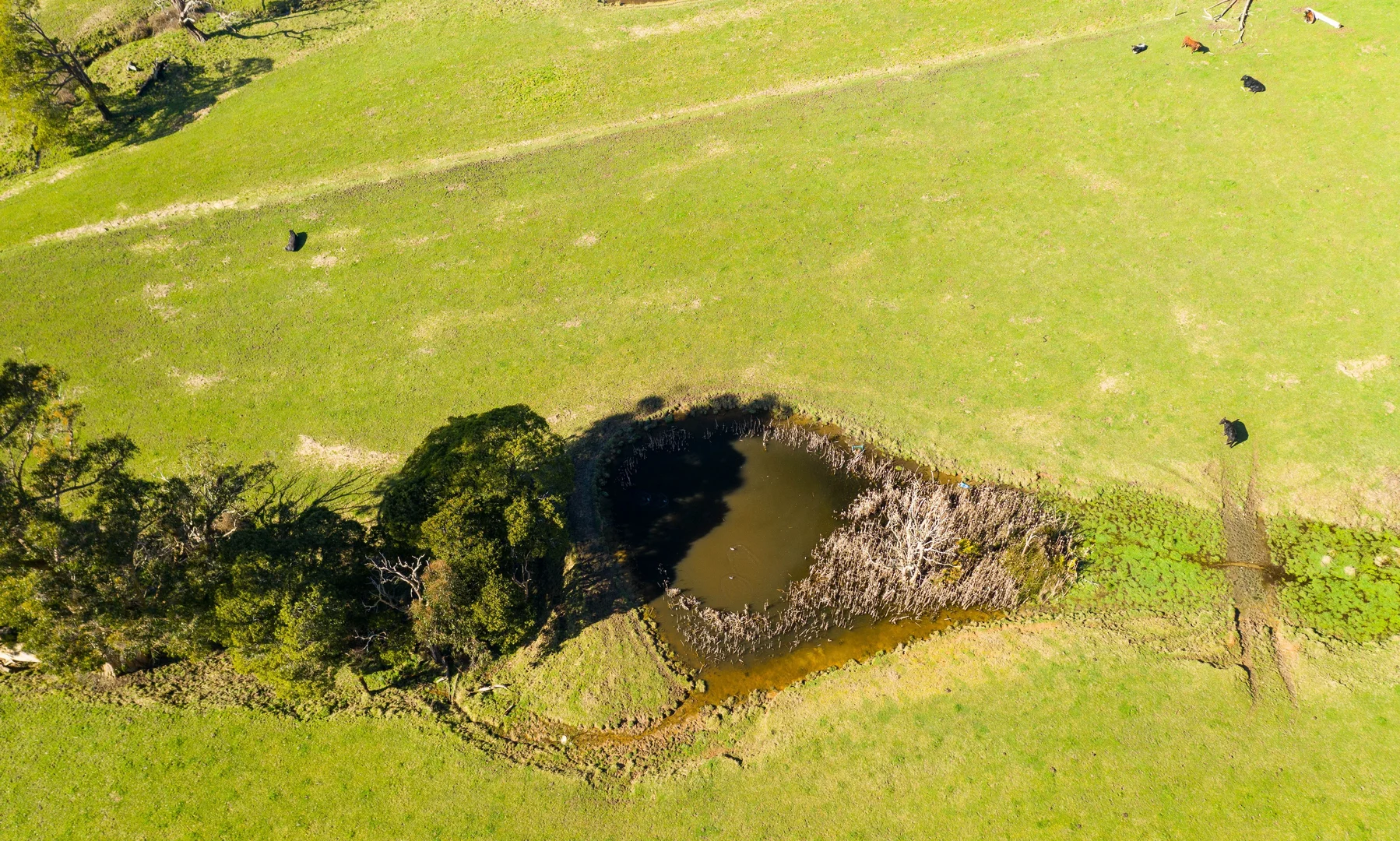 Image 32