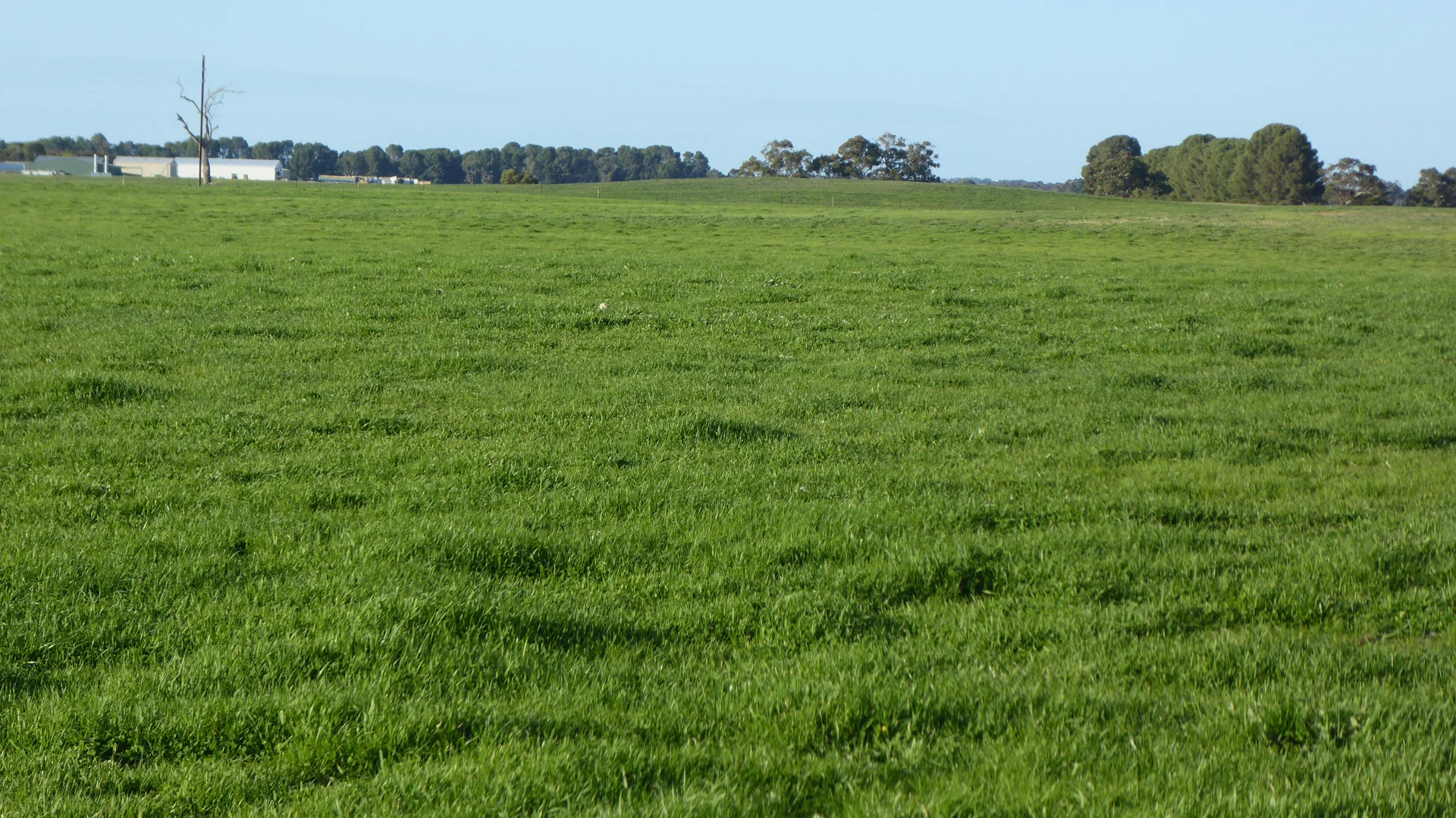 Image 17