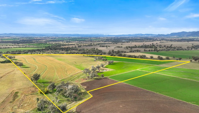Picture of Lot 2 Hausfields Road, DURI NSW 2344