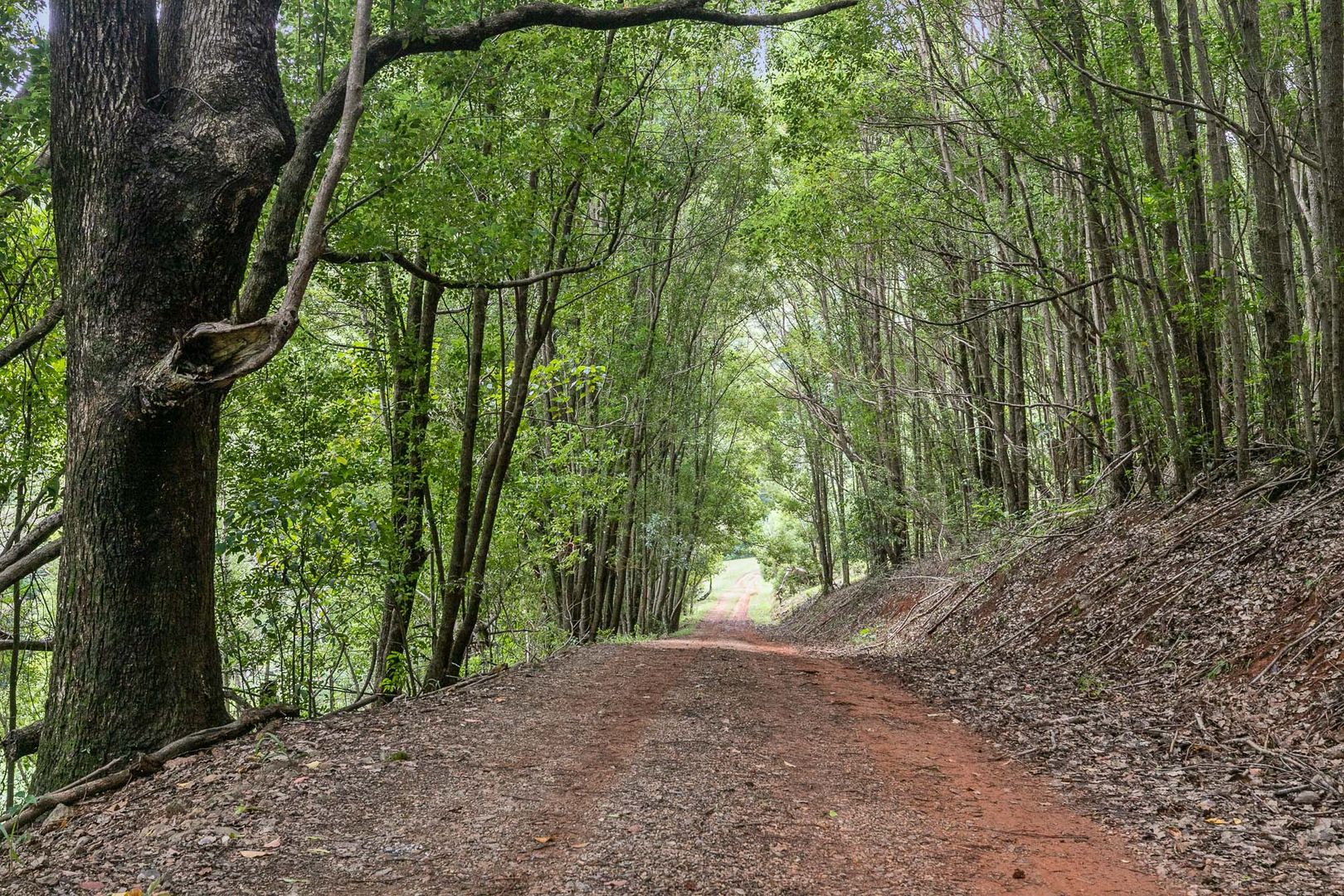 532 Upper Burringbar Road, Upper Burringbar NSW 2483 House for Sale