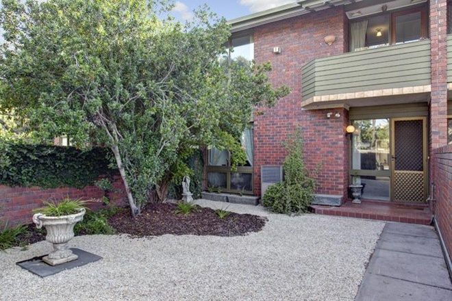 Picture of 4/57 Northcote Terrace, MEDINDIE SA 5081