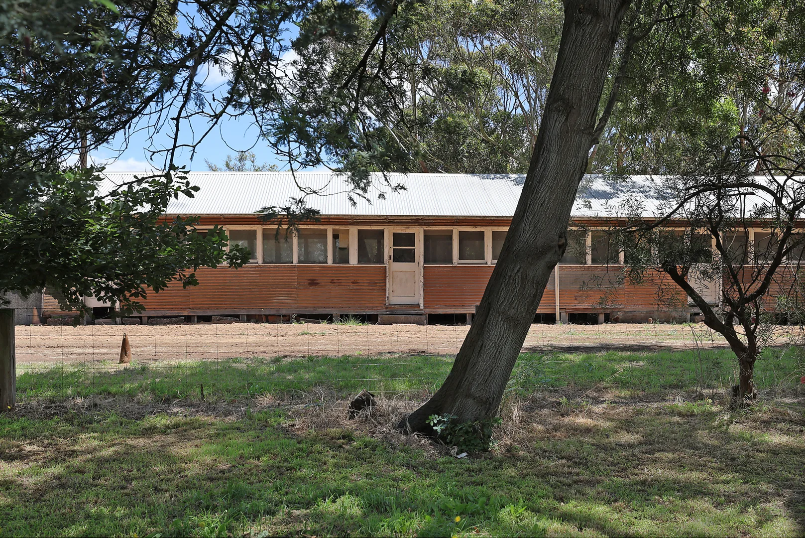 Image 19