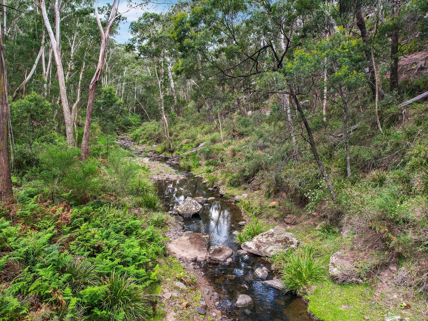 Image 22