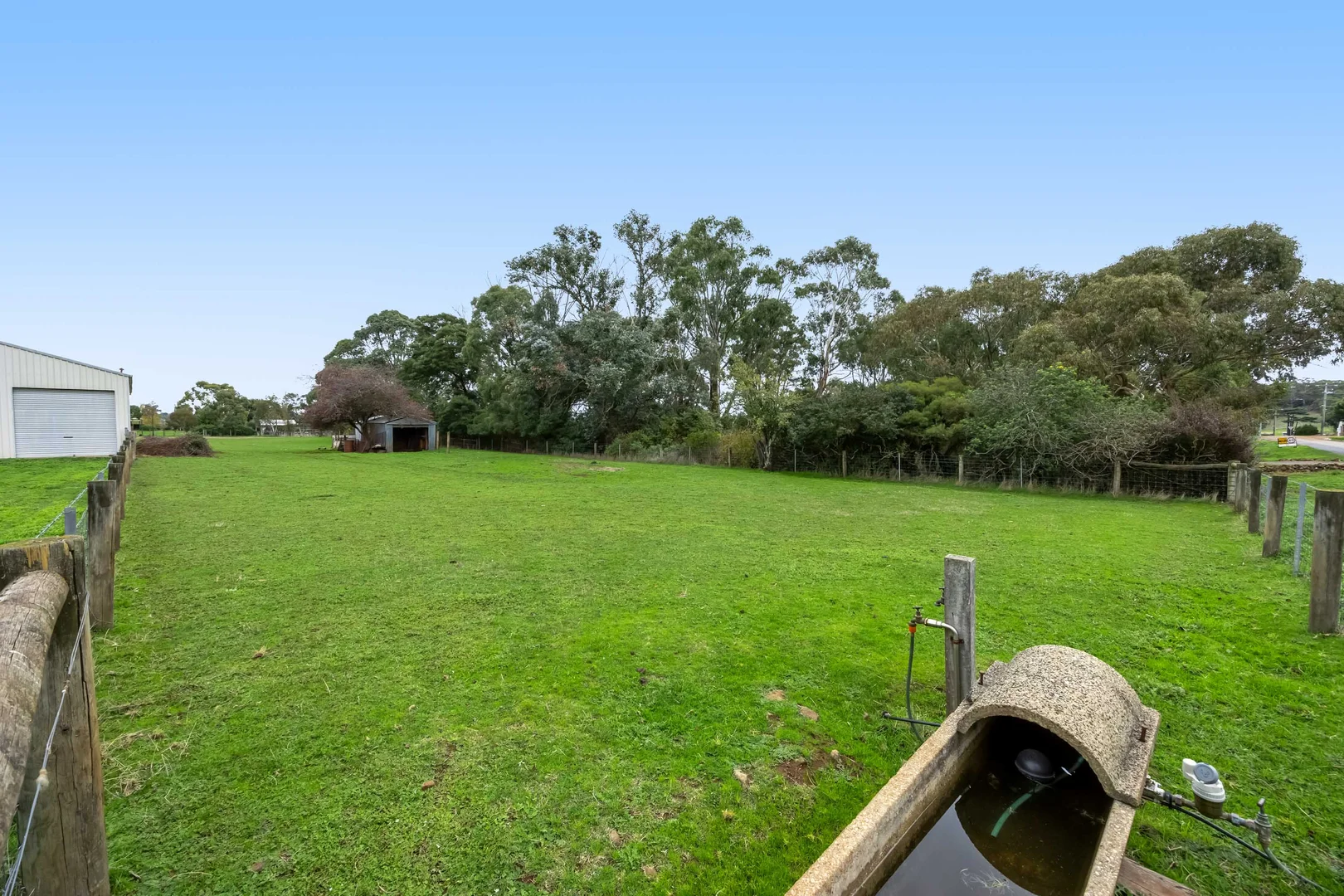 Image 10