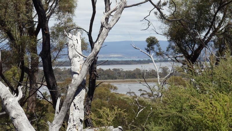 1645 Coles Bay Road, Coles Bay TAS 7215, Image 1