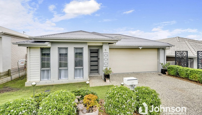 Picture of 17 Shelley Street, REDBANK PLAINS QLD 4301