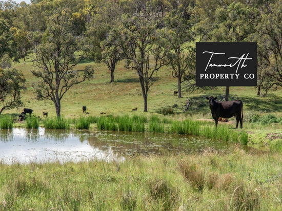 471 Watsons Creek-Tilmunda Road, Watsons Creek NSW 2355