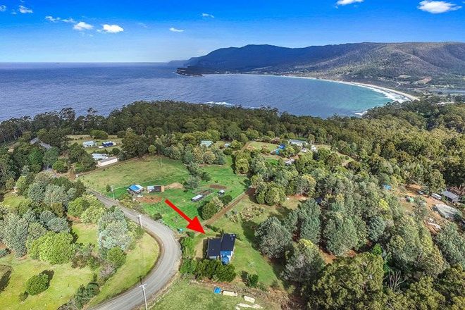 Picture of 165 Pirates Bay Drive, EAGLEHAWK NECK TAS 7179