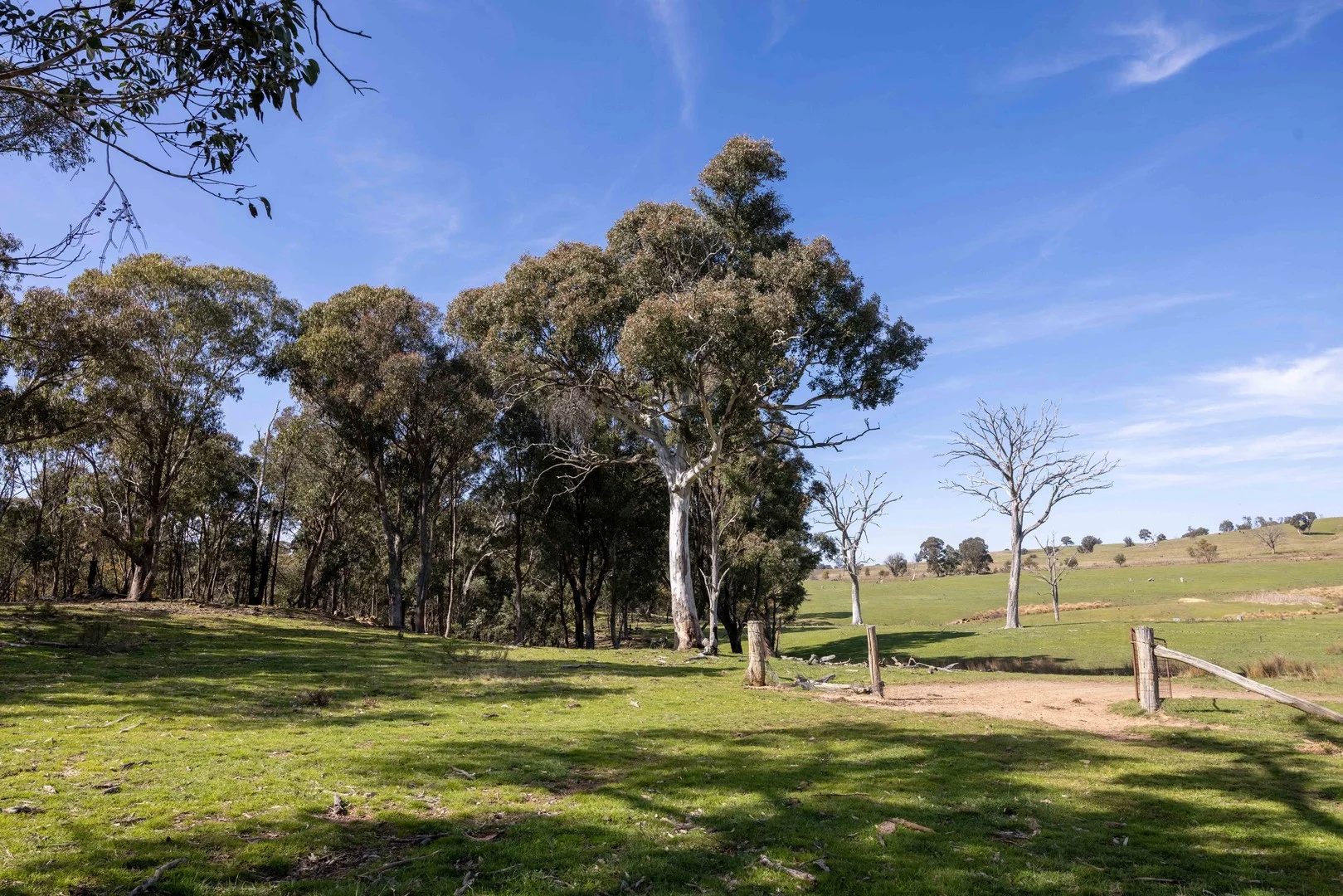 Additional image 5 of 528 Gundowda Road, Mudgee NSW 2850