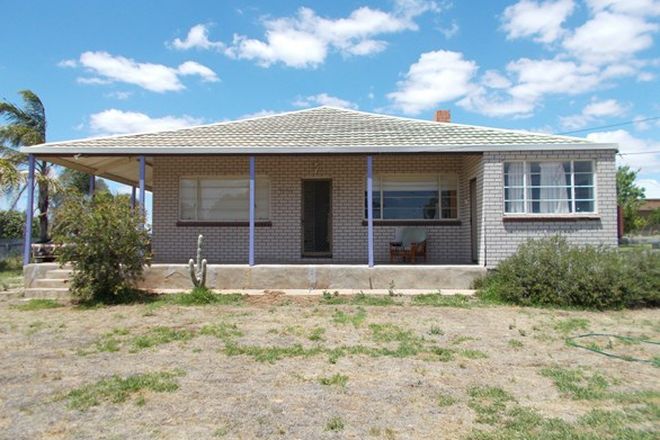 Picture of 13 Murrayville Road, PINNAROO SA 5304