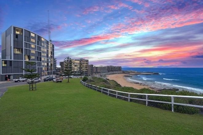 170 Rental Properties In Newcastle Nsw 2300 Domain