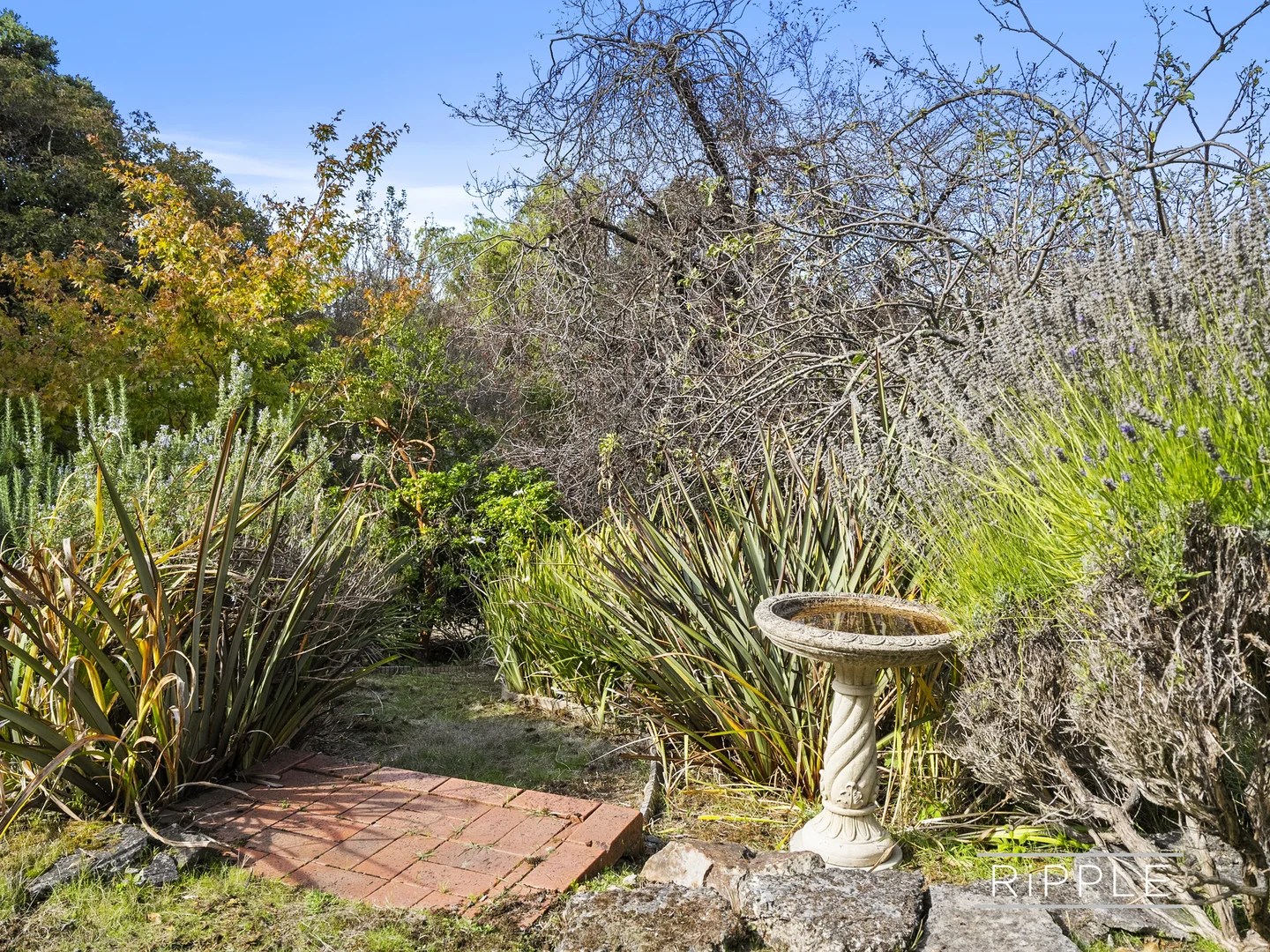 Additional image 33 of 10 Romilly Street, South Hobart TAS 7004