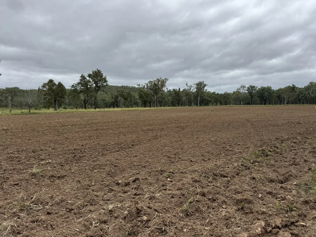 Additional image 8 of 1609 Monal Road, Monto QLD 4630