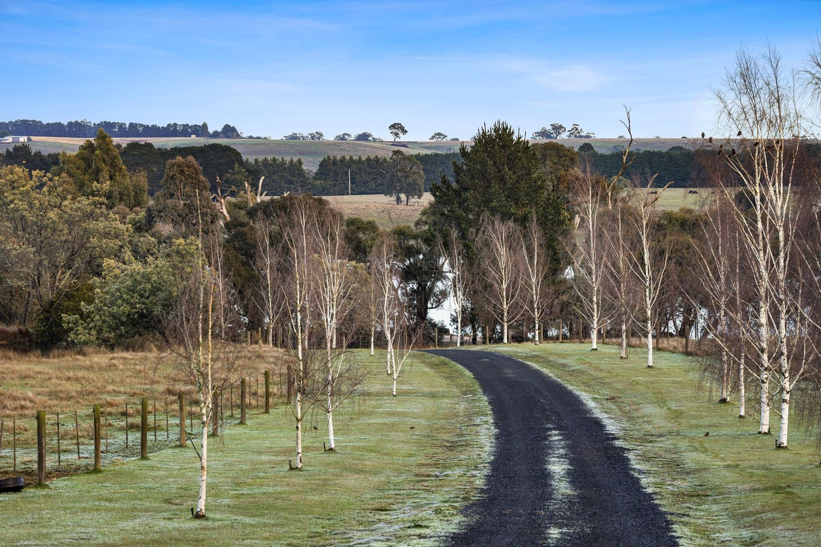 236 Premier Mine Road, Kyneton South VIC 3444, Image 1