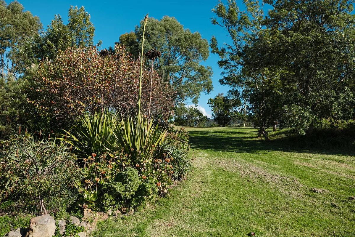 Image 22