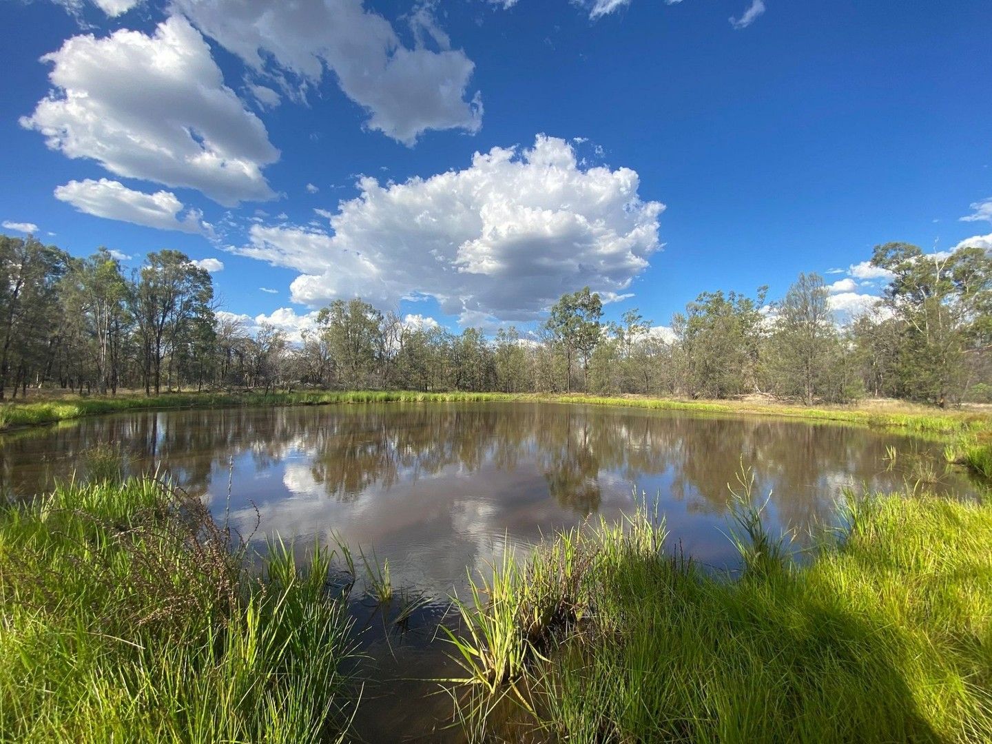 Lot 45 Chinchilla Tara Road, Wieambilla QLD 4413, Image 0