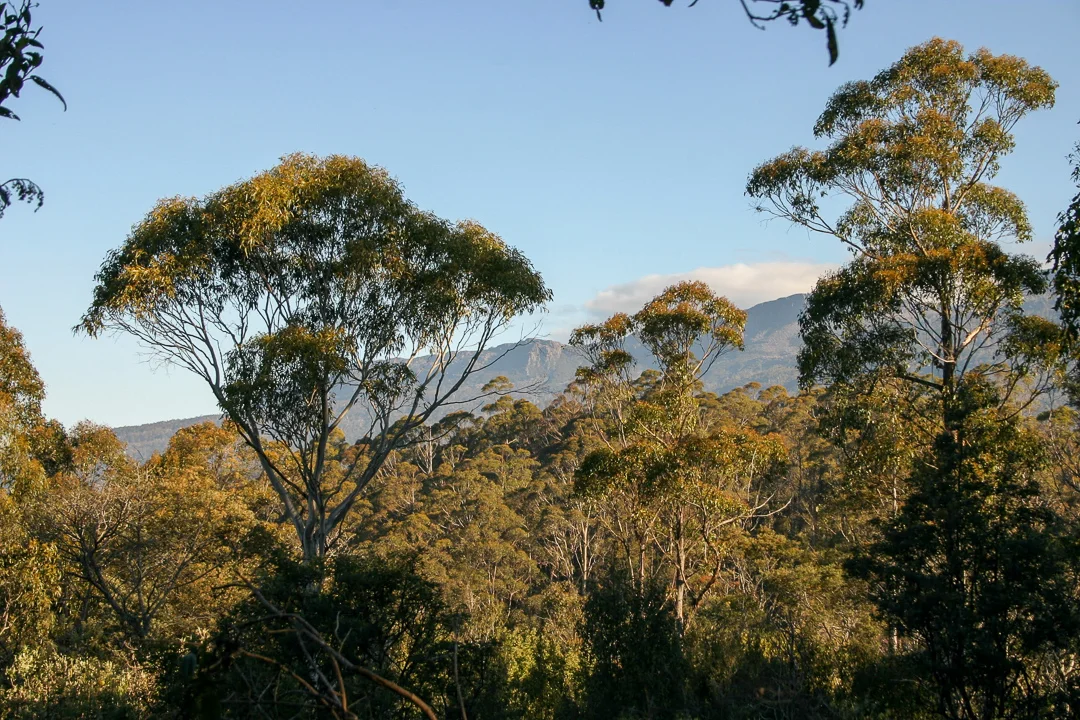Image 18