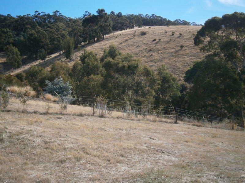 Lot 1 Black Snake Road, Granton TAS 7030, Image 2