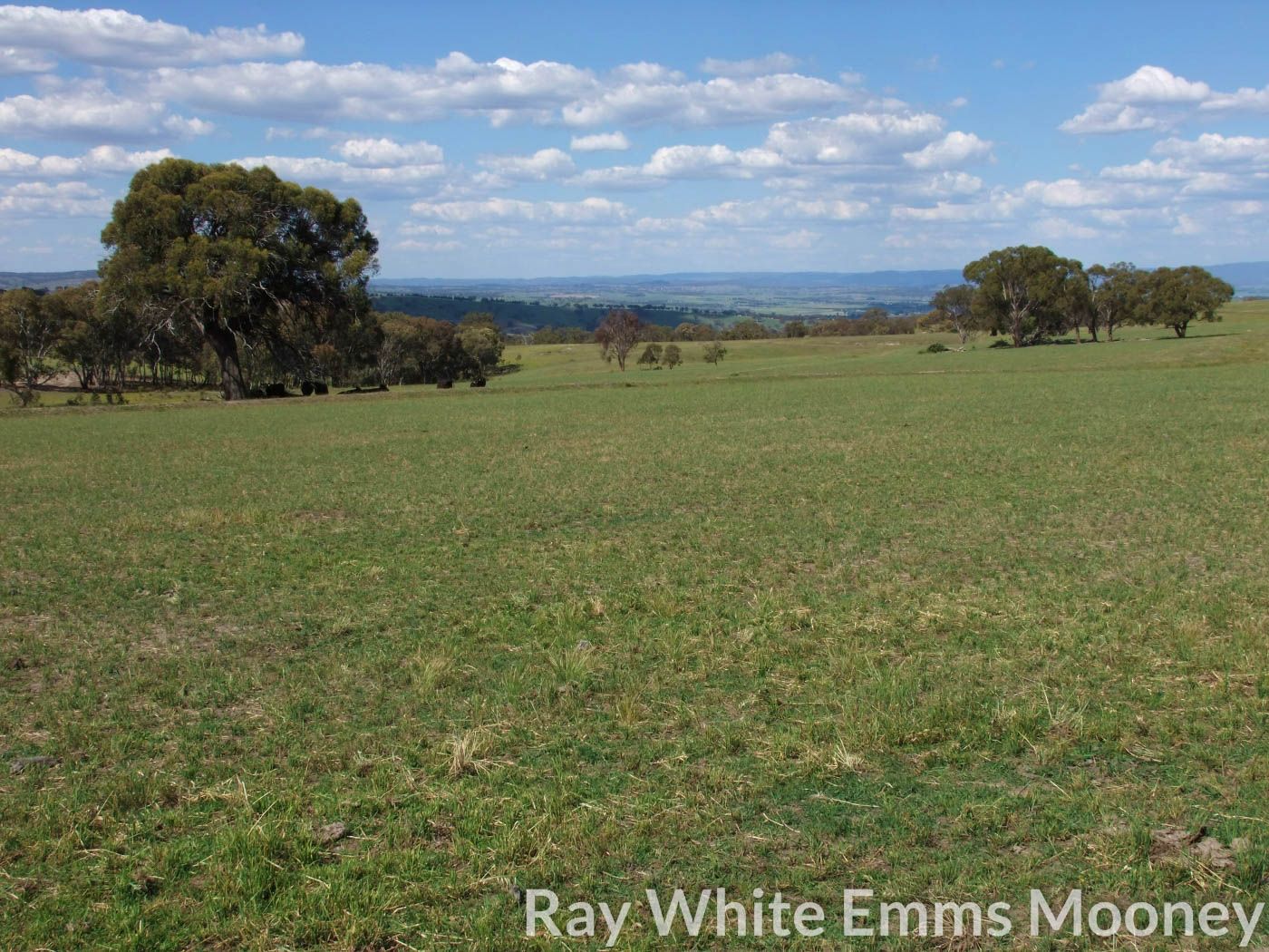 Mitchell Highway, The Rocks NSW 2795, Image 0