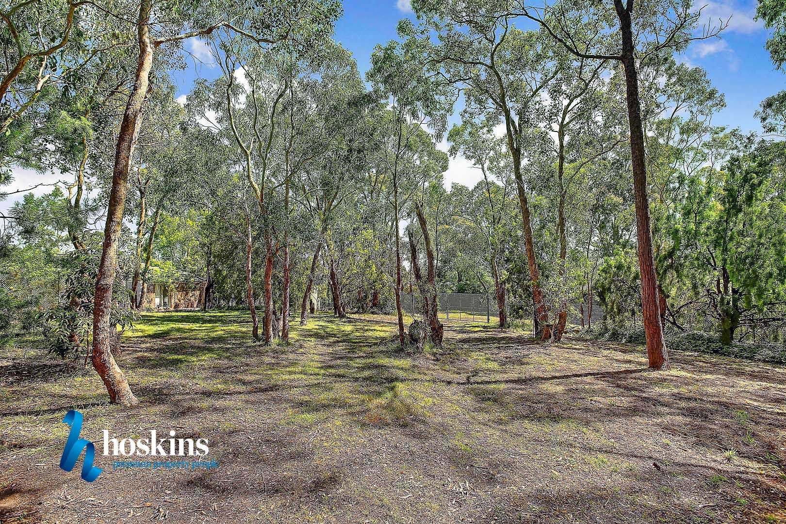 7 Enfield Avenue, Park Orchards VIC 3114, Image 2