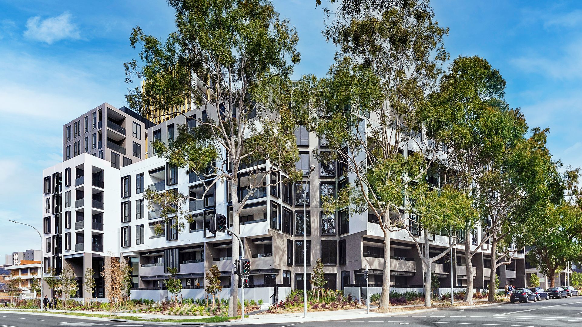 234/811 Elizabeth Street, Zetland NSW 2017 - Apartment For Rent | Domain