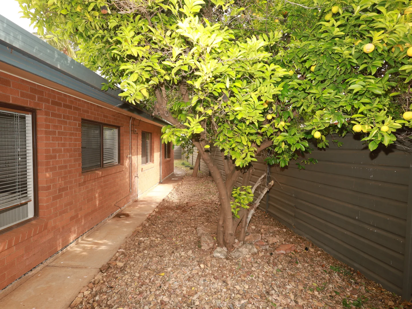 Image 35