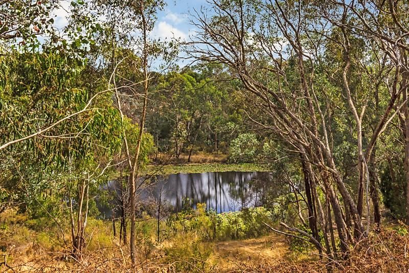 342 Wonga Road, WARRANWOOD VIC 3134, Image 1