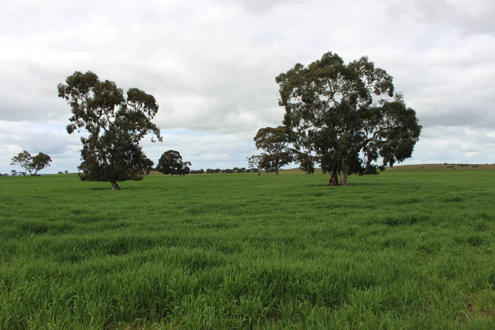 Image 17