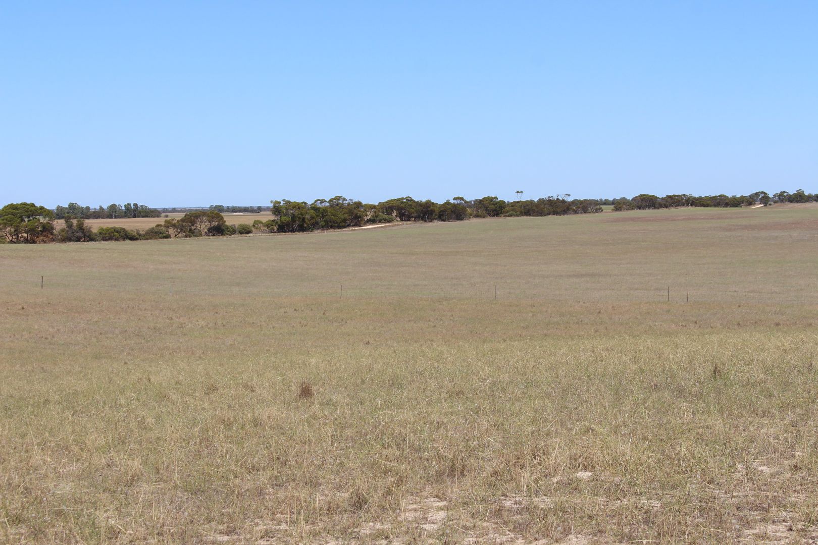 Proposed Allotment 2 Barney Road, Netherton SA 5301, Image 2