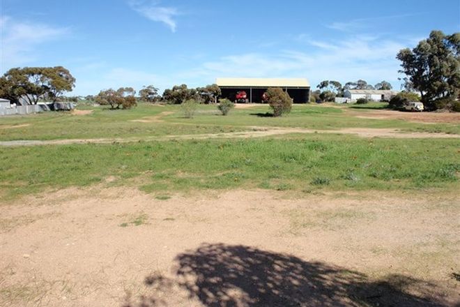 Picture of 54 Eyre Highway, WUDINNA SA 5652