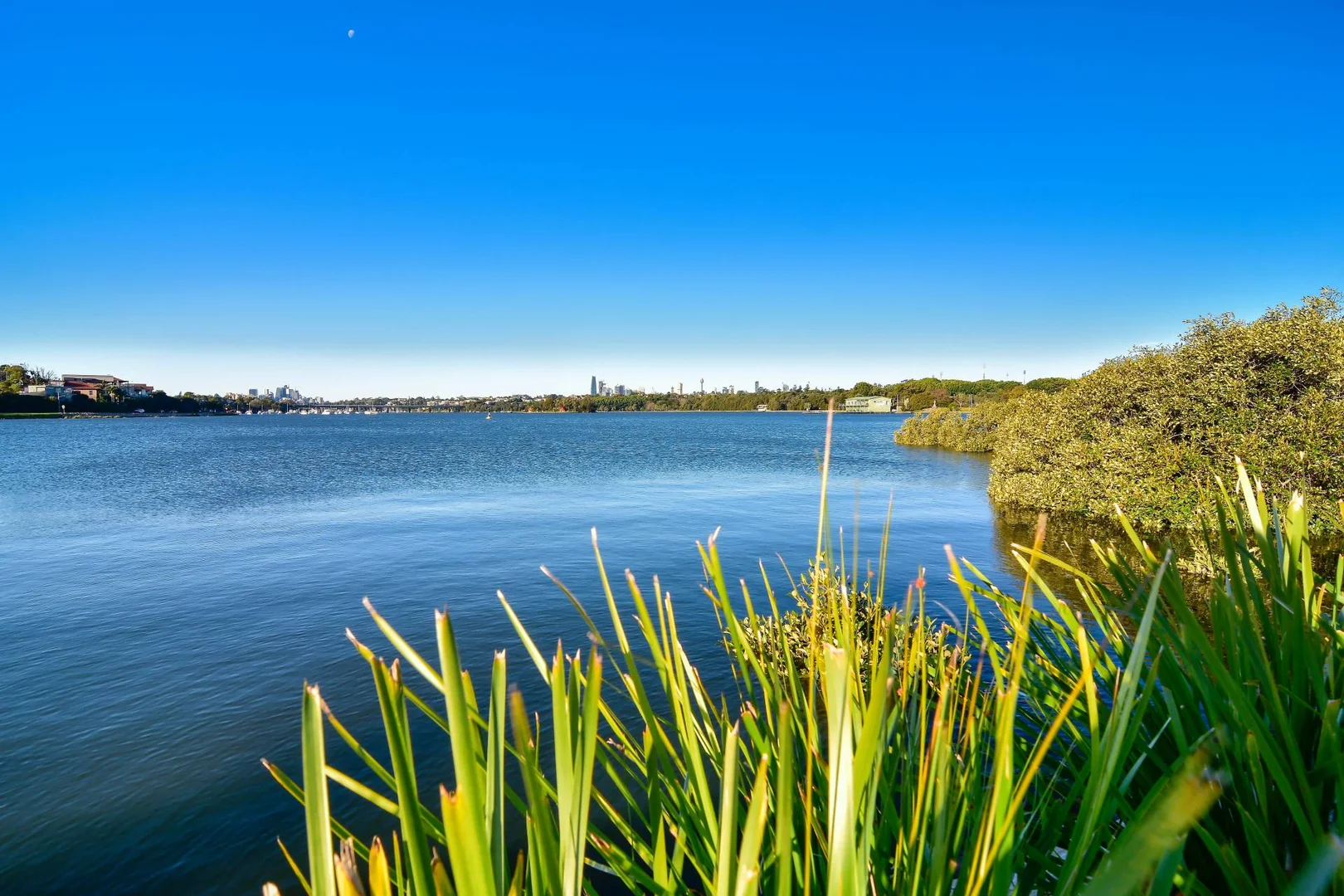 Additional image 9 of 22 Princess Avenue, Rodd Point NSW 2046