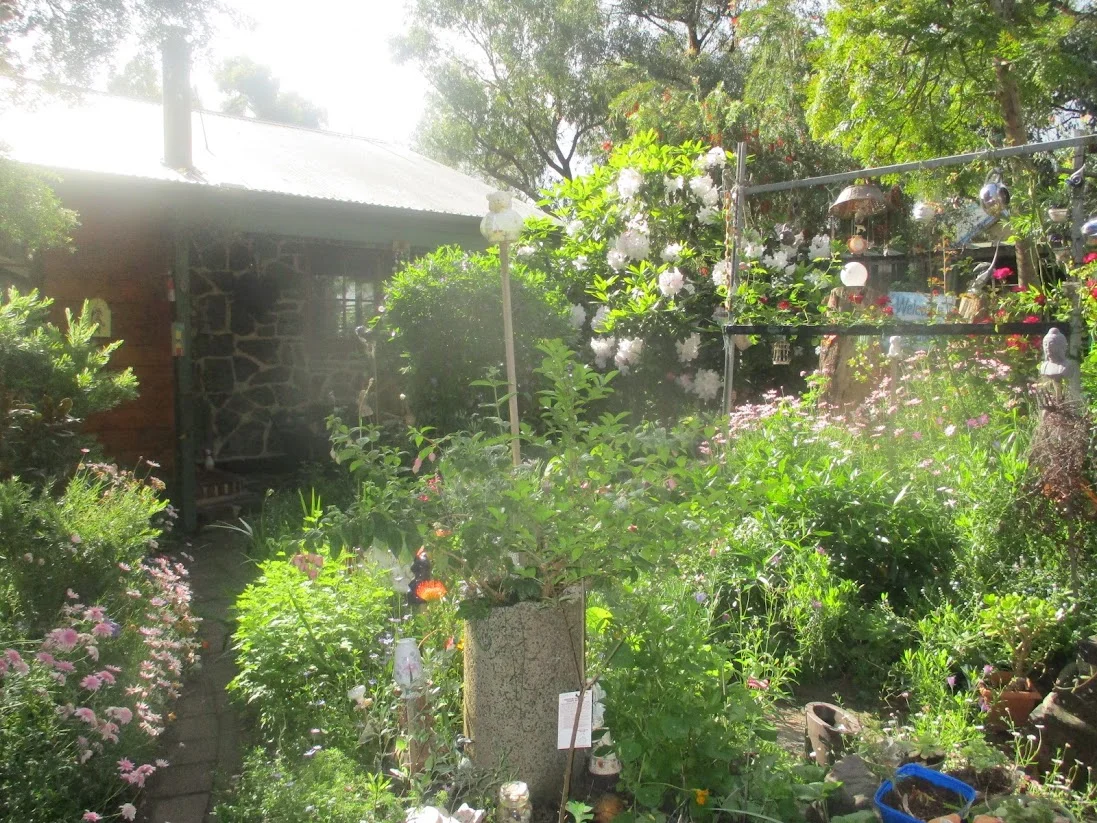 Image 20