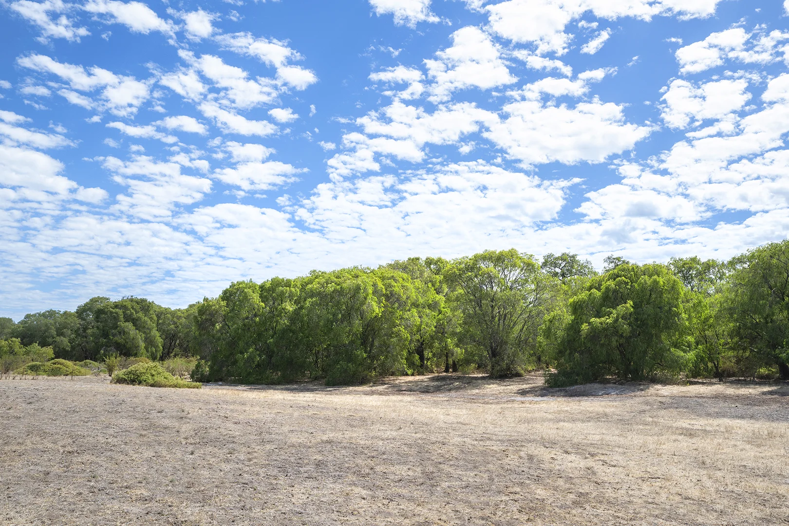 Additional image 10 of Lot 58 Caves Road, Kealy WA 6280