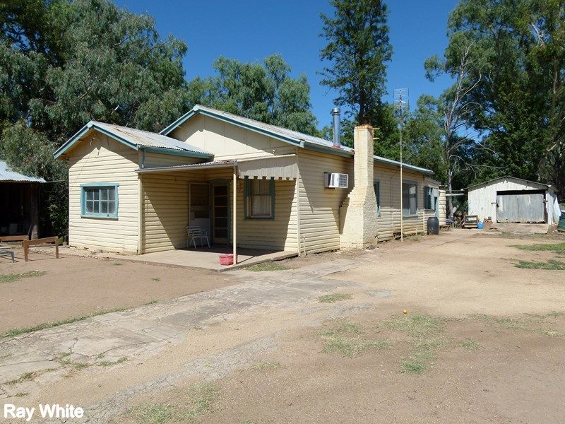 144 Salisbury Road, Forbes NSW 2871, Image 1